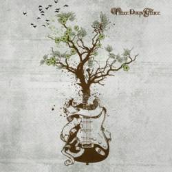 Three Days Grace : Acoustic Wood Insight